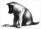 Image from the book