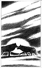 Image from the book