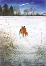 Image from the book
