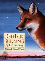 Red Fox Running